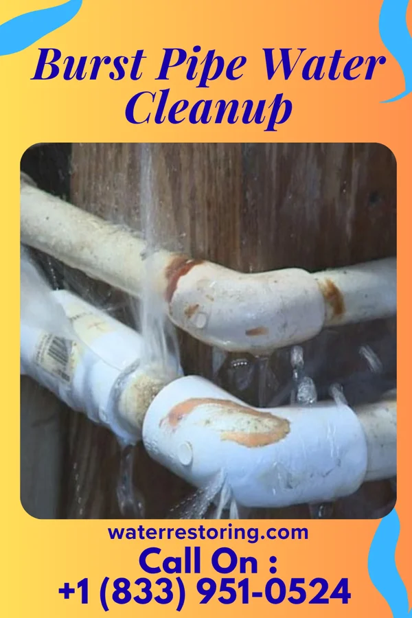 Burst Pipe Water Cleanup in Zilwaukee, MI