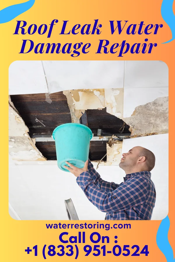 Roof Leak Water Damage Repair in Zilwaukee, MI